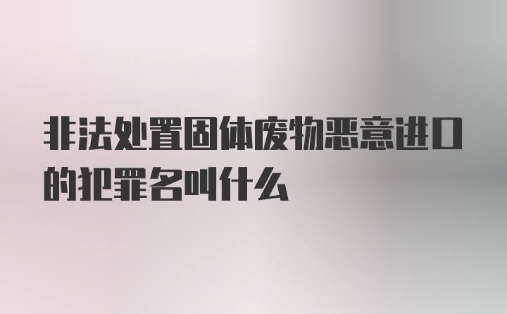 非法处置固体废物恶意进口的犯罪名叫什么