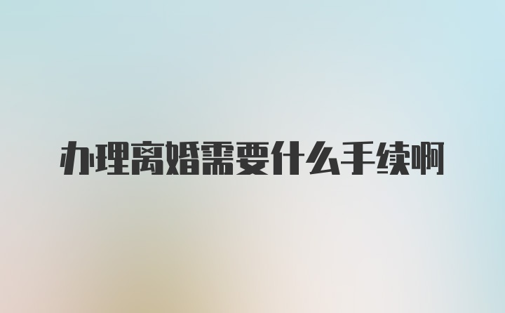 办理离婚需要什么手续啊