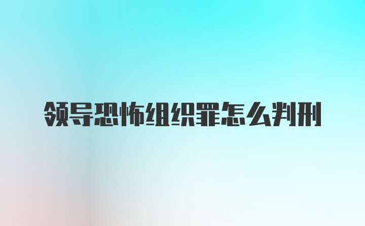 领导恐怖组织罪怎么判刑