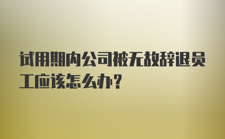 试用期内公司被无故辞退员工应该怎么办?