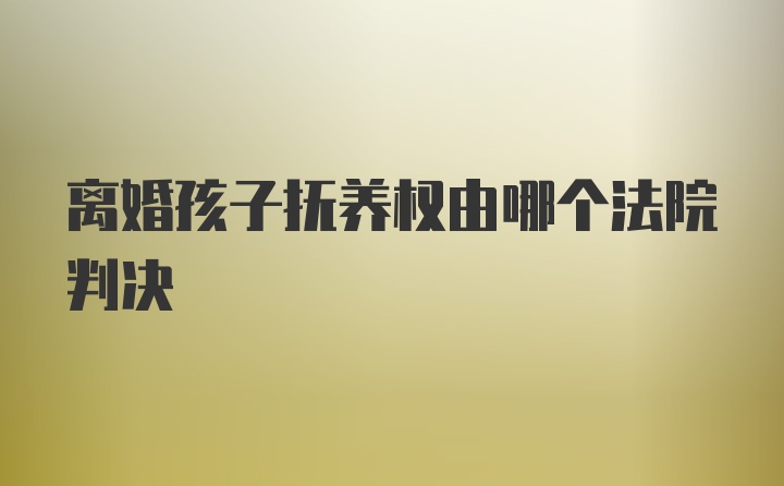 离婚孩子抚养权由哪个法院判决