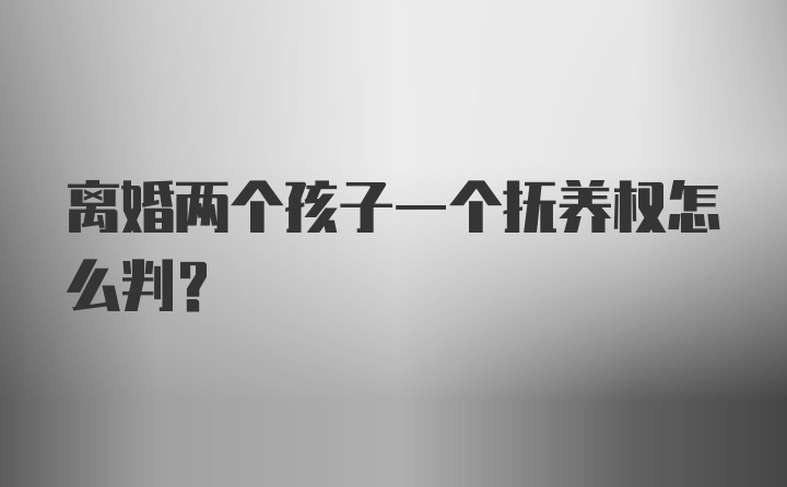 离婚两个孩子一个抚养权怎么判？