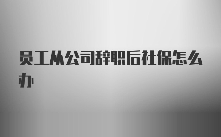 员工从公司辞职后社保怎么办