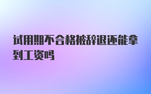 试用期不合格被辞退还能拿到工资吗