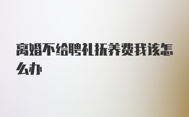 离婚不给聘礼抚养费我该怎么办