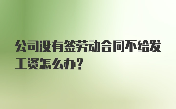 公司没有签劳动合同不给发工资怎么办？