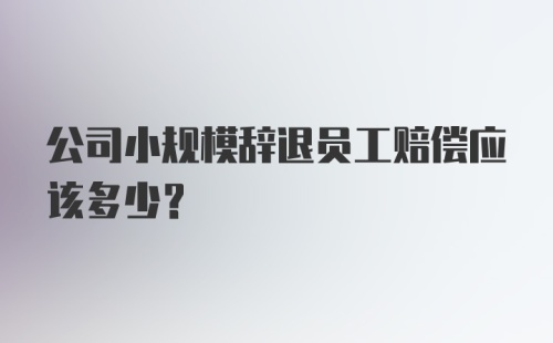 公司小规模辞退员工赔偿应该多少？