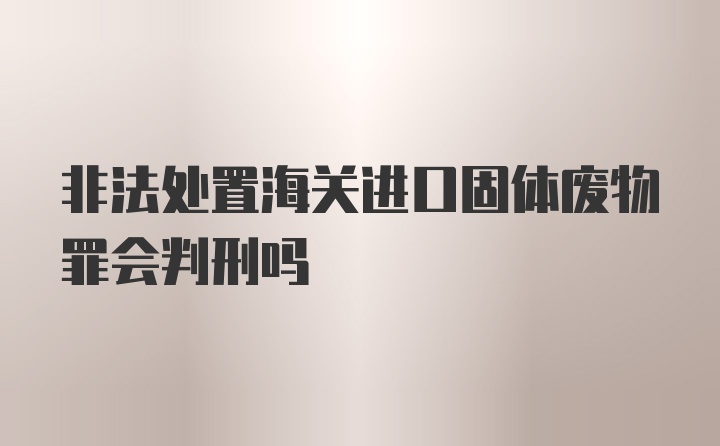 非法处置海关进口固体废物罪会判刑吗