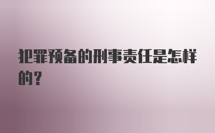 犯罪预备的刑事责任是怎样的?