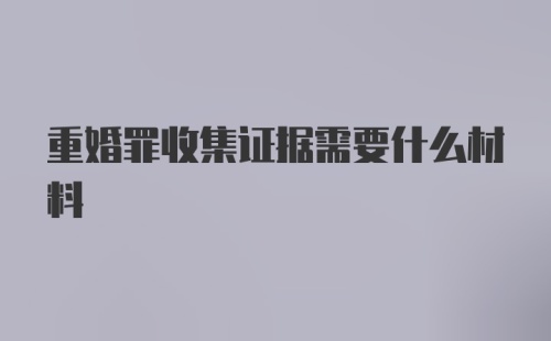 重婚罪收集证据需要什么材料