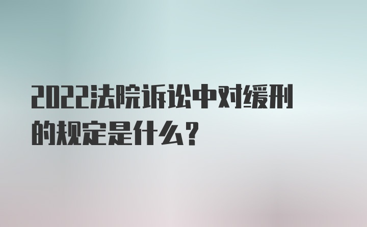 2022法院诉讼中对缓刑的规定是什么？