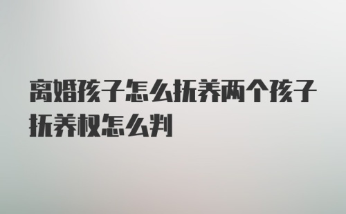 离婚孩子怎么抚养两个孩子抚养权怎么判