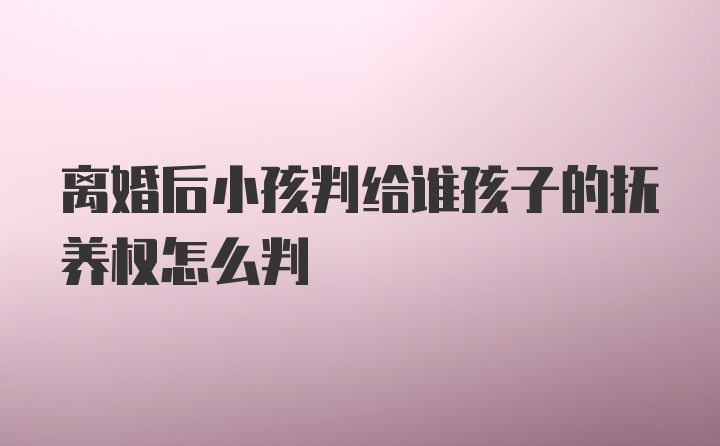 离婚后小孩判给谁孩子的抚养权怎么判