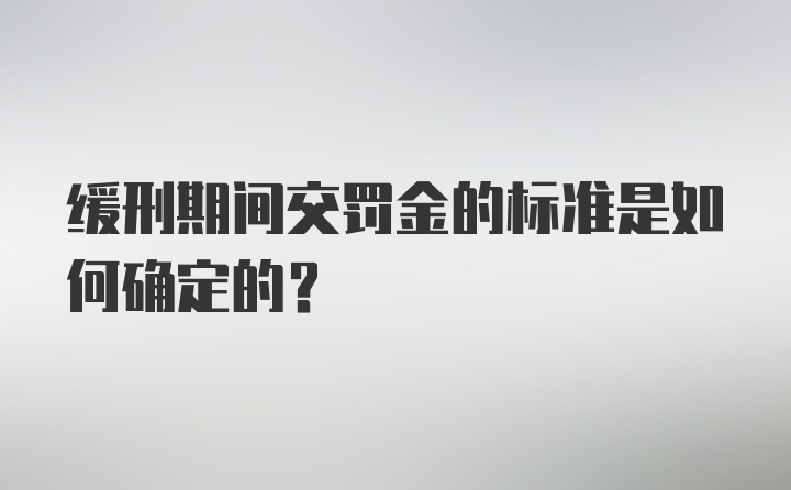 缓刑期间交罚金的标准是如何确定的?