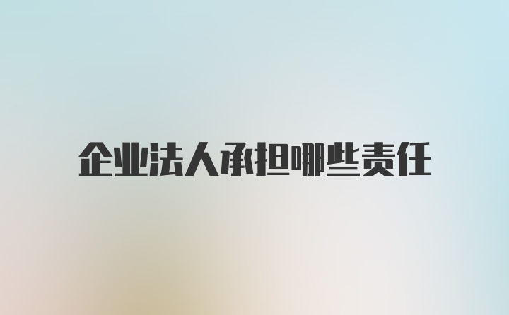 企业法人承担哪些责任