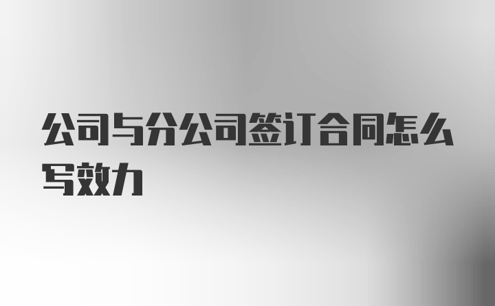 公司与分公司签订合同怎么写效力