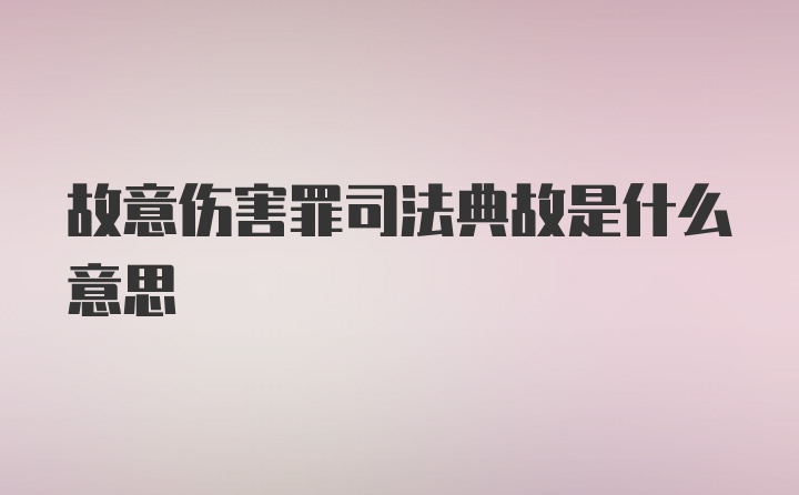 故意伤害罪司法典故是什么意思