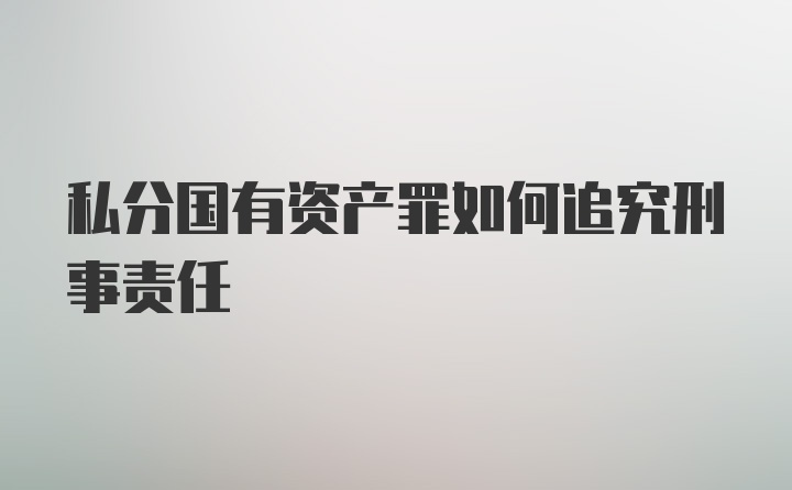 私分国有资产罪如何追究刑事责任