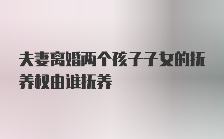 夫妻离婚两个孩子子女的抚养权由谁抚养