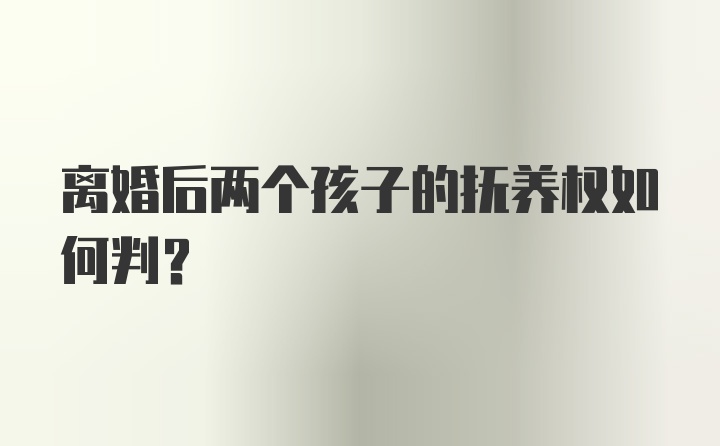 离婚后两个孩子的抚养权如何判？