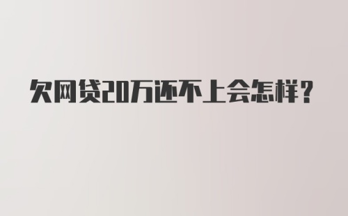 欠网贷20万还不上会怎样？