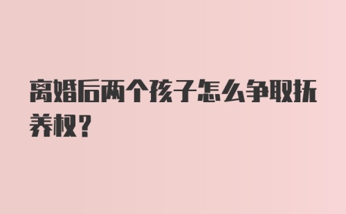 离婚后两个孩子怎么争取抚养权?