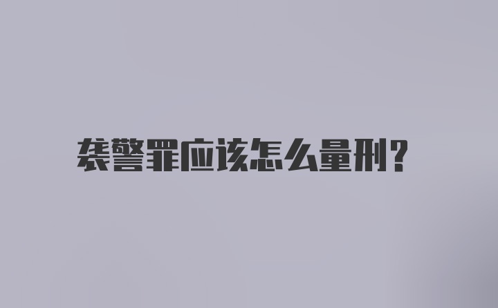 袭警罪应该怎么量刑？