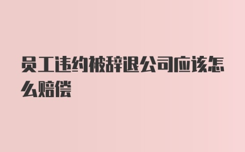 员工违约被辞退公司应该怎么赔偿