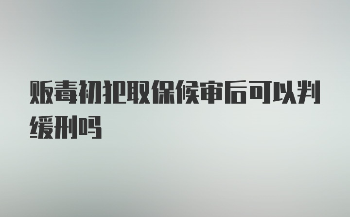 贩毒初犯取保候审后可以判缓刑吗