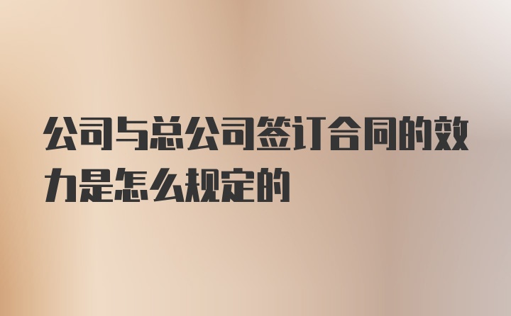 公司与总公司签订合同的效力是怎么规定的