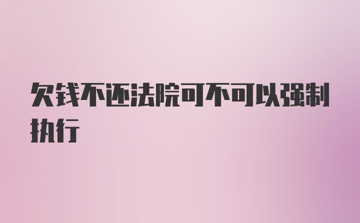 欠钱不还法院可不可以强制执行