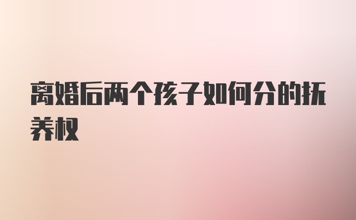 离婚后两个孩子如何分的抚养权