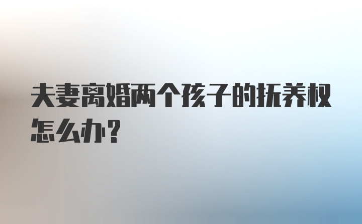 夫妻离婚两个孩子的抚养权怎么办？