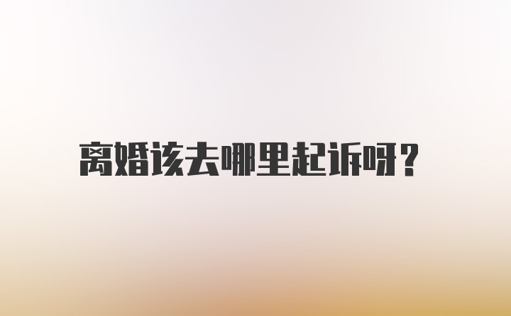 离婚该去哪里起诉呀？