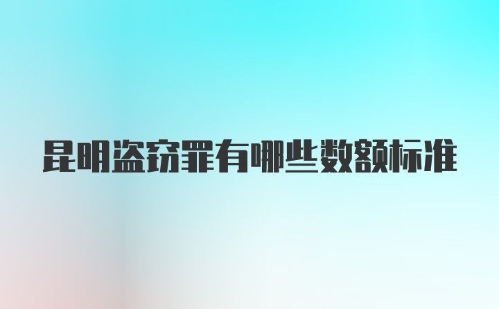 昆明盗窃罪有哪些数额标准