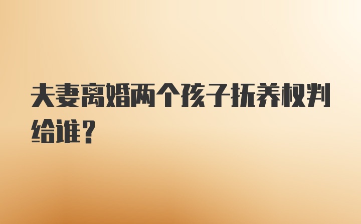 夫妻离婚两个孩子抚养权判给谁？