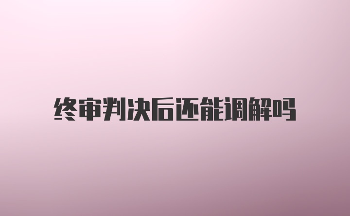 终审判决后还能调解吗