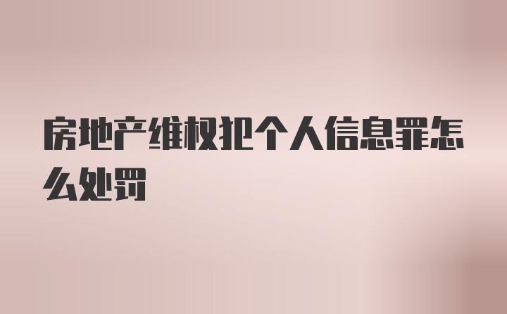 房地产维权犯个人信息罪怎么处罚