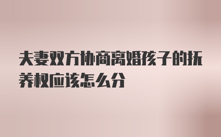 夫妻双方协商离婚孩子的抚养权应该怎么分