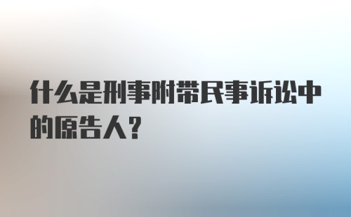 什么是刑事附带民事诉讼中的原告人？