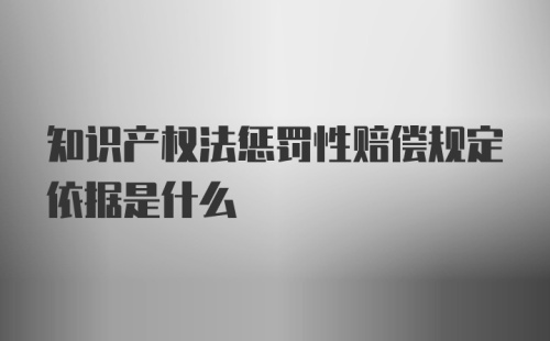 知识产权法惩罚性赔偿规定依据是什么