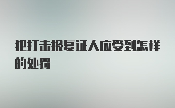 犯打击报复证人应受到怎样的处罚