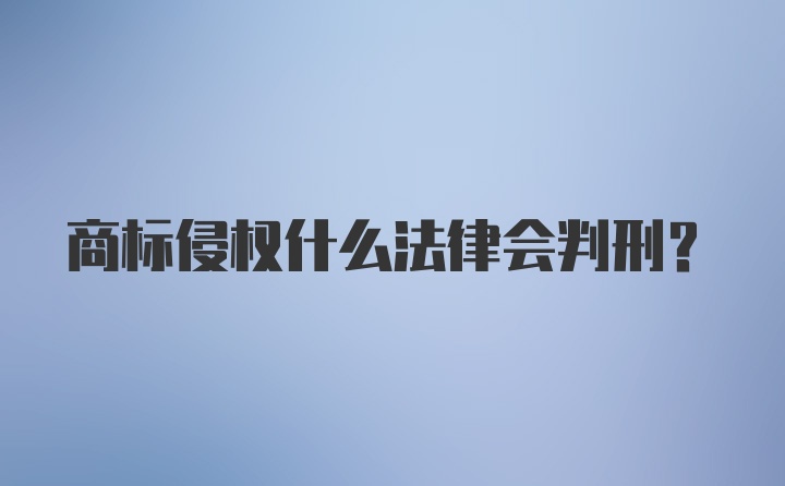 商标侵权什么法律会判刑？