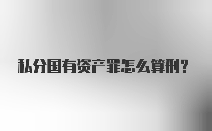 私分国有资产罪怎么算刑？