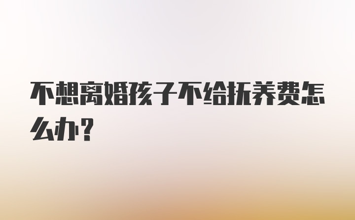 不想离婚孩子不给抚养费怎么办？