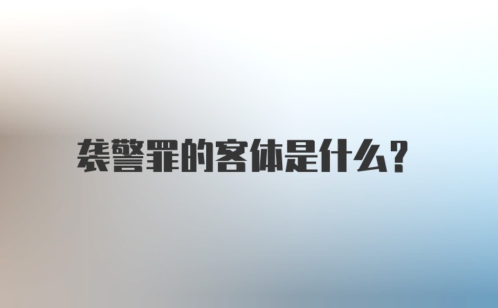 袭警罪的客体是什么？