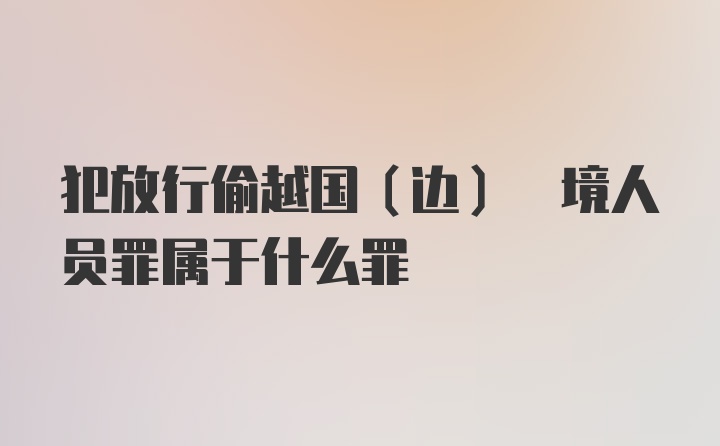 犯放行偷越国(边) 境人员罪属于什么罪