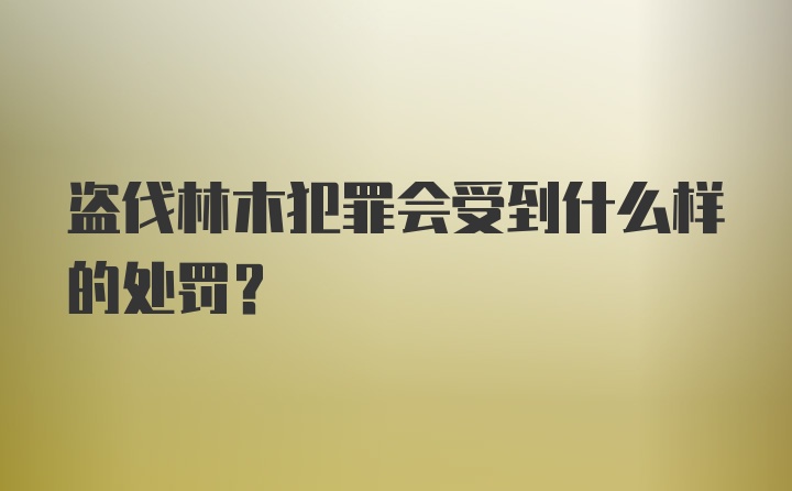 盗伐林木犯罪会受到什么样的处罚？