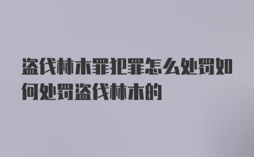 盗伐林木罪犯罪怎么处罚如何处罚盗伐林木的