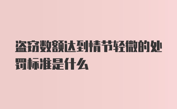 盗窃数额达到情节轻微的处罚标准是什么